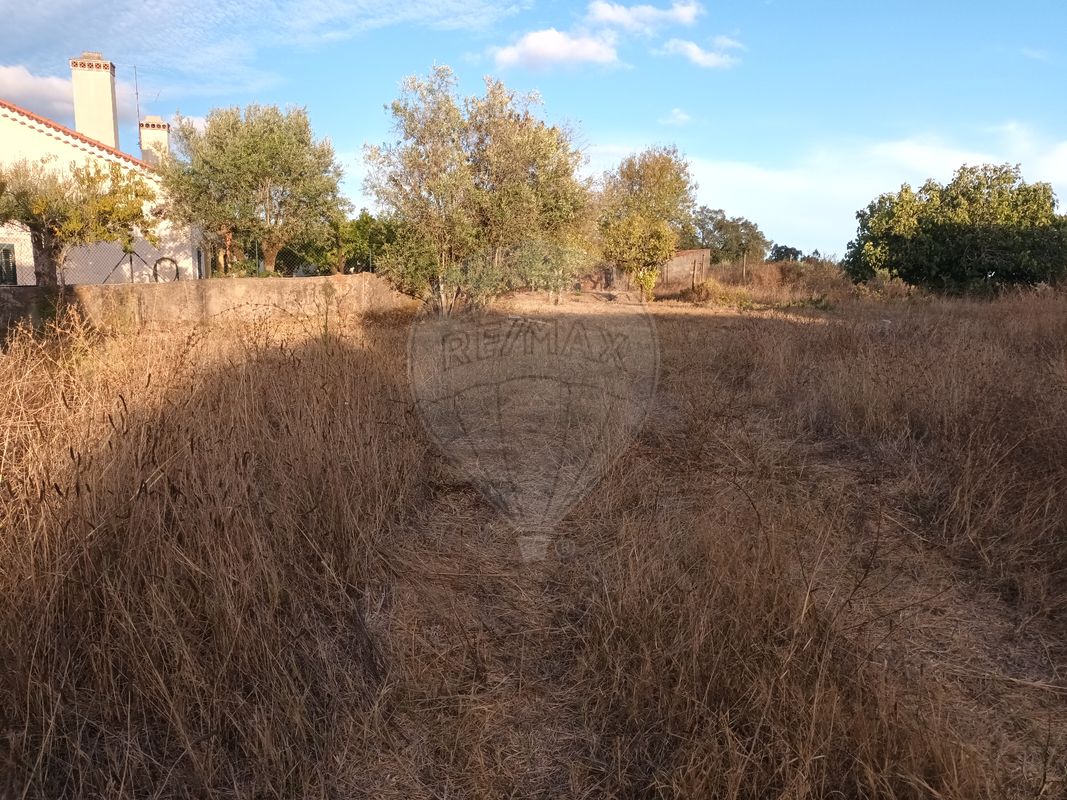 3 bedrooms House in Tomar, Portugal No. 175925