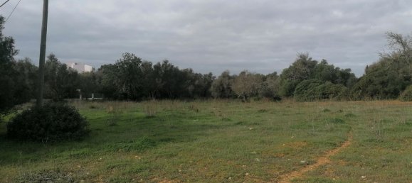 Земельный участок 6064м² в Армасан де Пера, Португалия № 48495 9