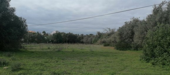 Земельный участок 6064м² в Армасан де Пера, Португалия № 48495 10