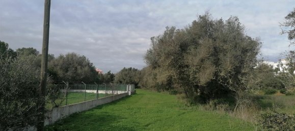 Земельный участок 6064м² в Армасан де Пера, Португалия № 48495 6