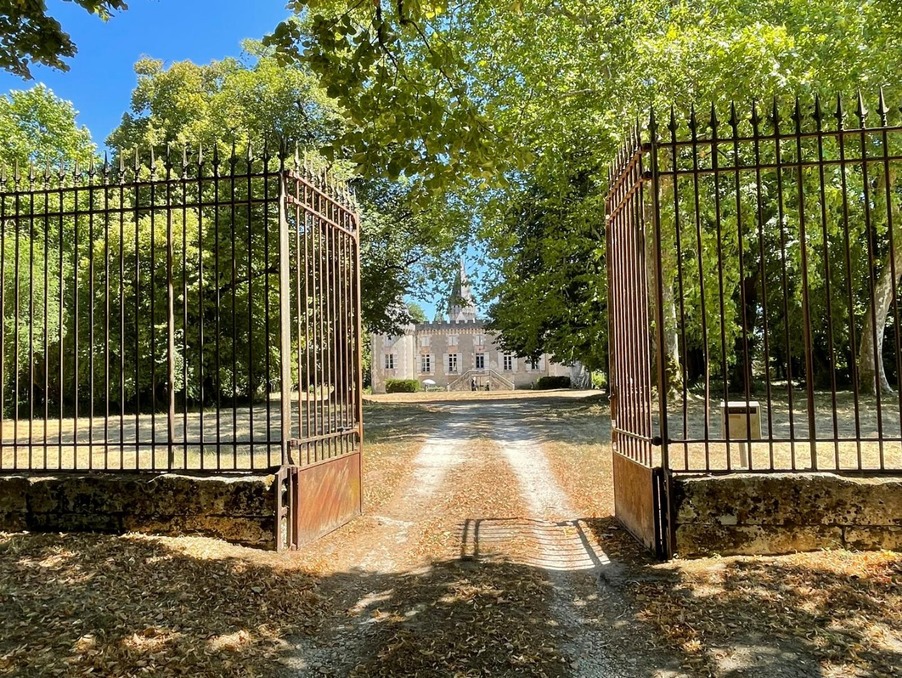 13 bedrooms Castles in Dordogne, France No. 292618