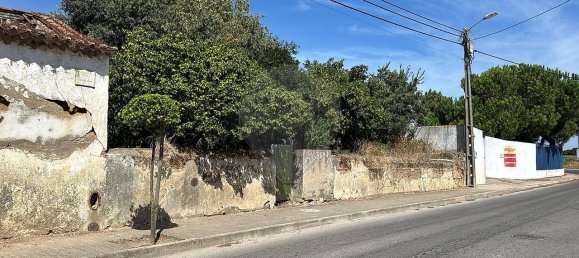 3 غرف نوم منزل في Azinhaga, Portugal رقم 45414 3