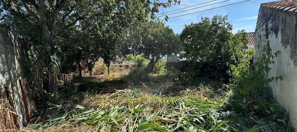 3 غرف نوم منزل في Azinhaga, Portugal رقم 45414 4