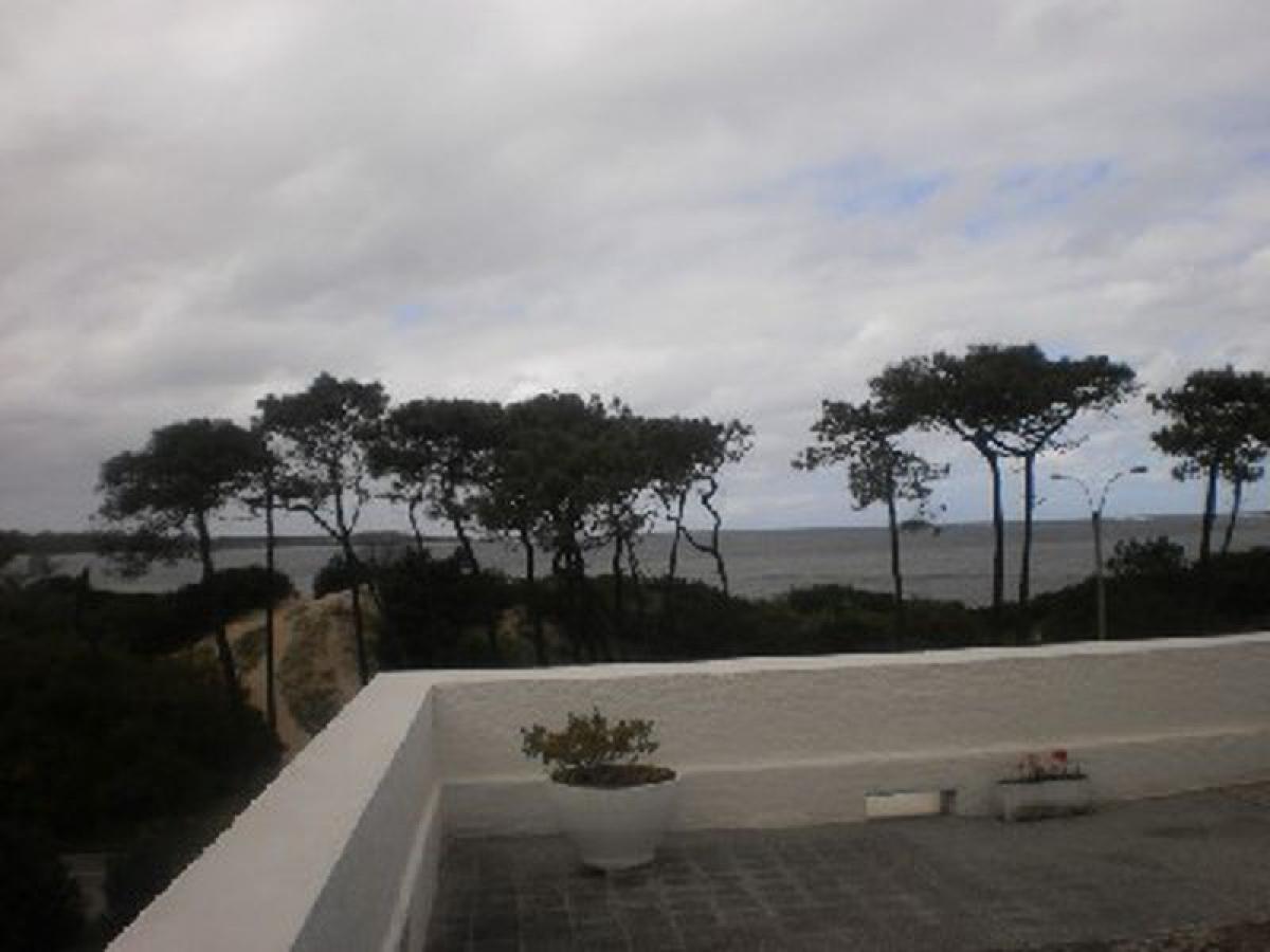 Studio in Maldonado, Uruguay No. 9898