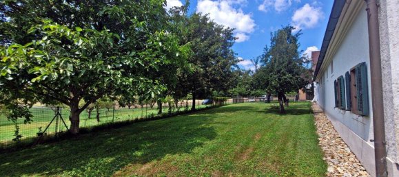 12 rooms House in Bad Waltersdorf, Austria No. 223351 6