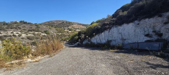 3 bedrooms Villa in Armou, Cyprus No. 9303 25