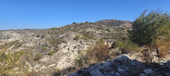 3 bedrooms Villa in Armou, Cyprus No. 9303 5