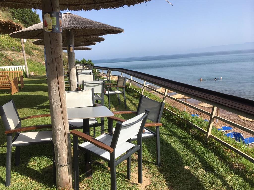 4 غرف نوم عقار تجاري في Achaea, Greece رقم 5418