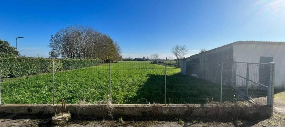 6 rooms Villa in Cavarzere, Italy No. 148852 3