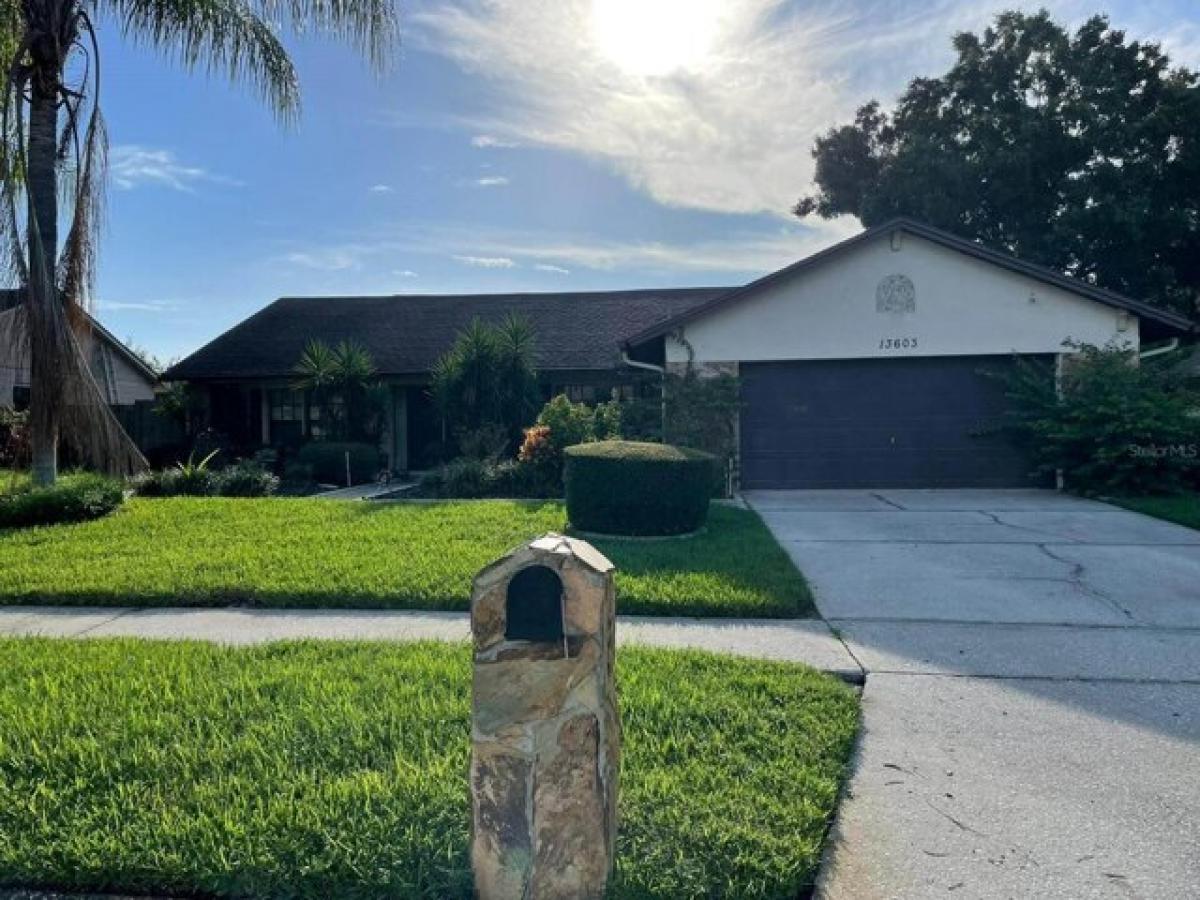 3 bedrooms House in Tampa, USA No. 300843