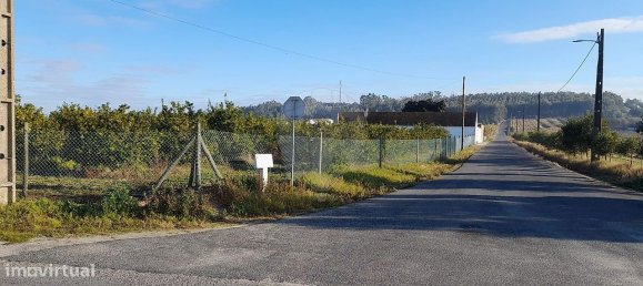 3 chambres Maison à Fazendas de Almeirim, Portugal No. 25583 2