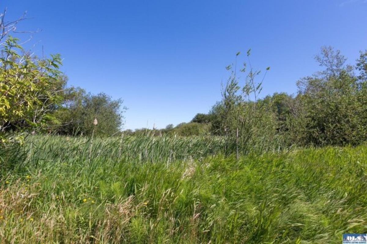  Land in Sequim, USA No. 536851