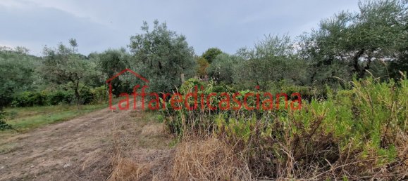 Casa de 7 dormitorios en Casciana Terme Lari, Italy No. 374935 12