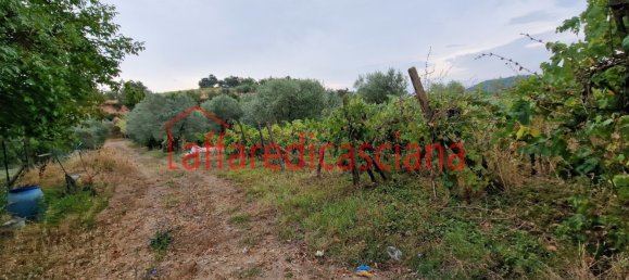 Casa de 7 dormitorios en Casciana Terme Lari, Italy No. 374935 11