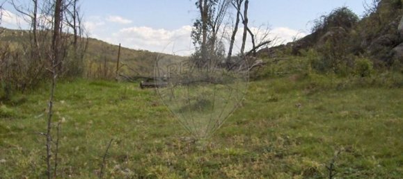 2 Schlafzimmer Haus in Fafe, Portugal, Nr. 165941 4