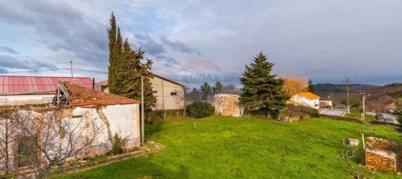 9 Schlafzimmer Haus in Santa Comba de Rossas, Portugal, Nr. 173101 3