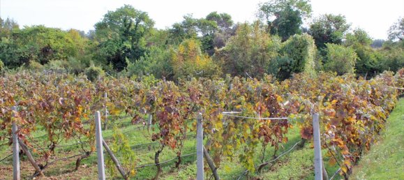 Вилла с 6 спальнями в Литохорон, Греция № 4453 22