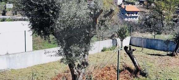 4 bedrooms House in Figueiro dos Vinhos, Portugal No. 35694 5