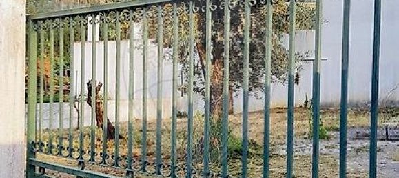 4 bedrooms House in Figueiro dos Vinhos, Portugal No. 35694 3