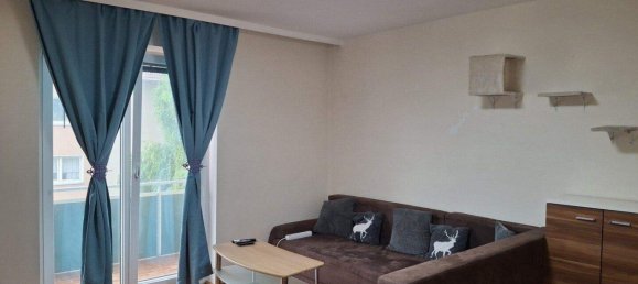 2-salle Appartement à Neuhofen an der Krems, Austria No. 147631 5