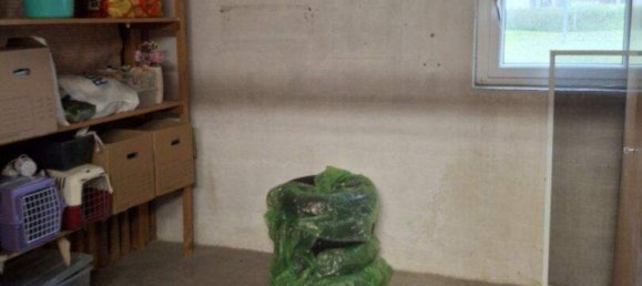 2-salle Appartement à Neuhofen an der Krems, Austria No. 147631 10