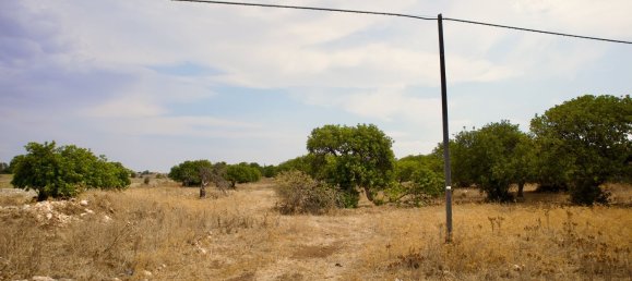 27000m² Land in Ragusa, Italy No. 177253 6