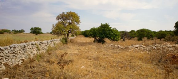 27000m² Land in Ragusa, Italy No. 177253 5