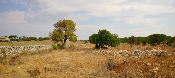 27000m² Land in Ragusa, Italy No. 177253 7