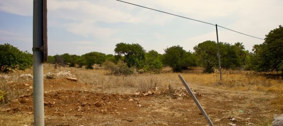 27000m² Land in Ragusa, Italy No. 177253 8