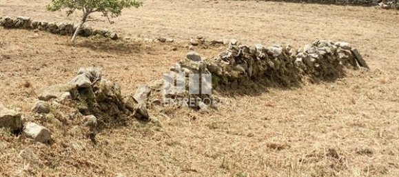 Terreno em Viana do Castelo, Portugal 2330 m² N.º 58746 5