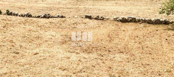 Terreno em Viana do Castelo, Portugal 2330 m² N.º 58746 10