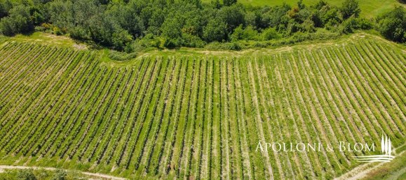 15 Schlafzimmer Gewerbliche Immobilie in Bucine, Italy, Nr. 304059 2
