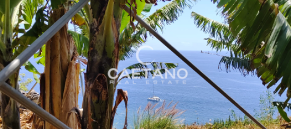 Terrain à Funchal, Portugal No. 145855 7