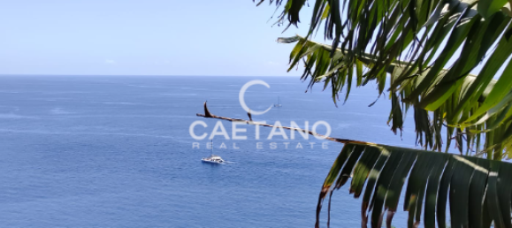 Terrain à Funchal, Portugal No. 145855 5