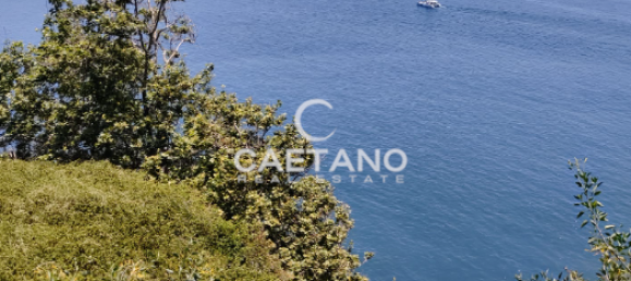 Terrain à Funchal, Portugal No. 145855 4