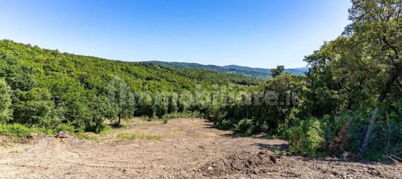 8 chambres Maison à Monteverdi Marittimo, Italy No. 349638 10