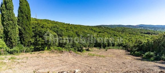 8 غرف نوم منزل في Monteverdi Marittimo, Italy رقم 349638 21