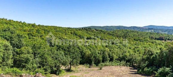 8 chambres Maison à Monteverdi Marittimo, Italy No. 349638 19