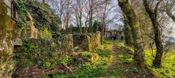 1 chambre Maison à Ribeiros, Portugal No. 37059 6