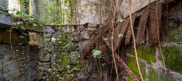 1 chambre Maison à Ribeiros, Portugal No. 37059 13