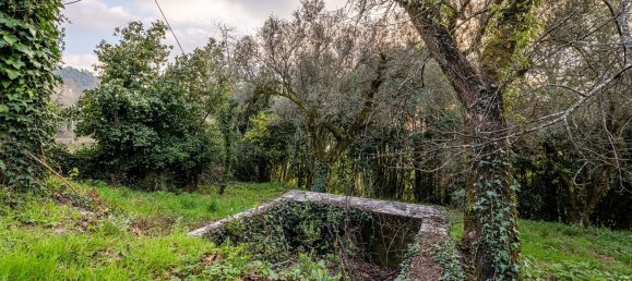 1 chambre Maison à Ribeiros, Portugal No. 37059 20