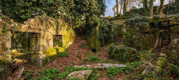 1 chambre Maison à Ribeiros, Portugal No. 37059 8