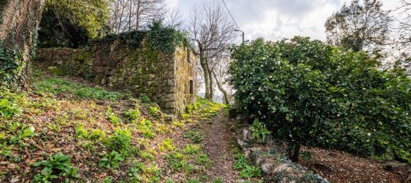 1 chambre Maison à Ribeiros, Portugal No. 37059 5