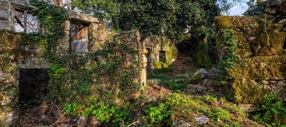 1 chambre Maison à Ribeiros, Portugal No. 37059 7