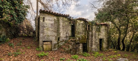 1 chambre Maison à Ribeiros, Portugal No. 37059 10