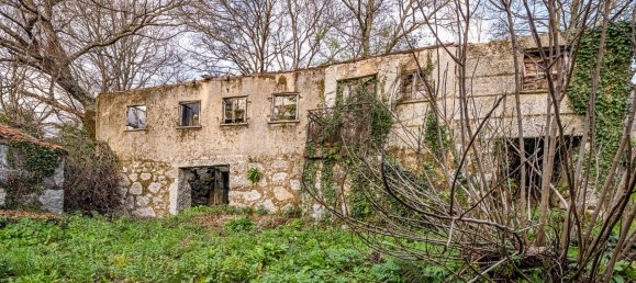 1 chambre Maison à Ribeiros, Portugal No. 37059 25