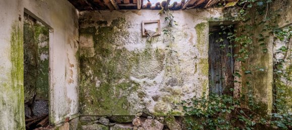 1 chambre Maison à Ribeiros, Portugal No. 37059 11