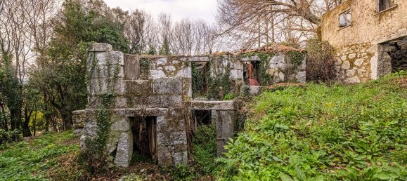 1 chambre Maison à Ribeiros, Portugal No. 37059 2