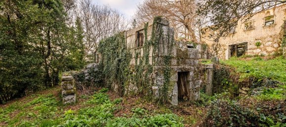 1 chambre Maison à Ribeiros, Portugal No. 37059 14