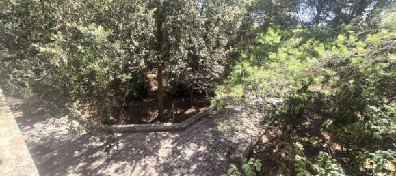 Вилла с 5 комнатами в Matino, Италия № 298715 21